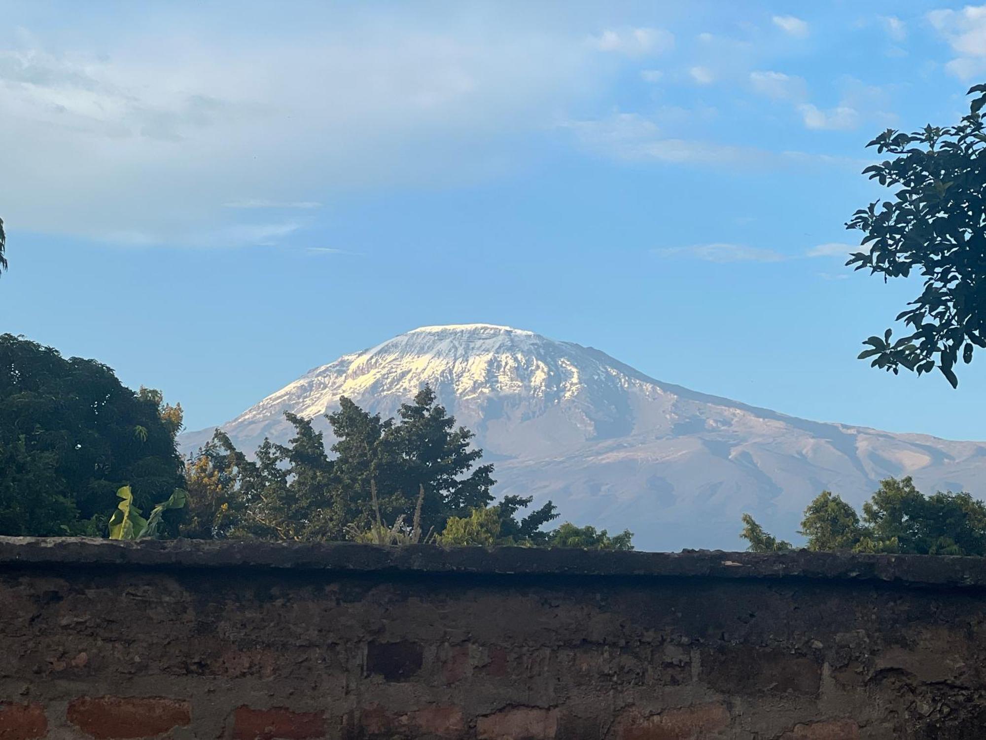 Kilimanjaro Trekcity Hostel Moshi Dış mekan fotoğraf