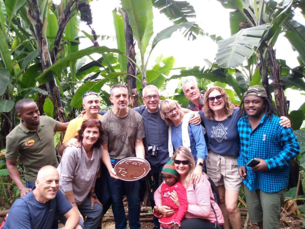 Kilimanjaro Trekcity Hostel Moshi Dış mekan fotoğraf